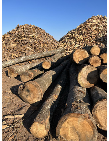 LEÑA DE ENCINA - PALET 2m3 - Imagen 3