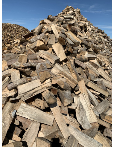 LEÑA DE HAYA - PALET 1m3 - Imagen 2
