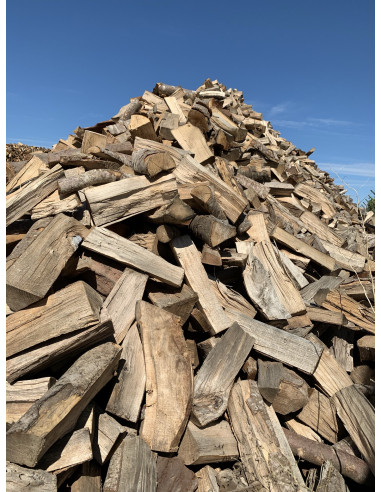 LEÑA DE HAYA - PALET 2m3 - Imagen 3